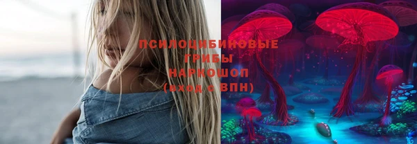 тгк Абинск