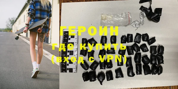 шишки Няндома