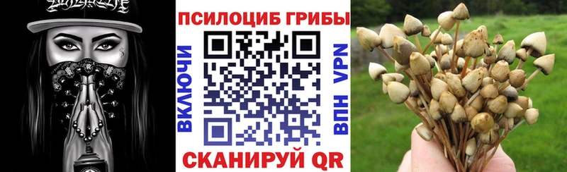 как найти наркотики  Новопавловск  Галлюциногенные грибы GOLDEN TEACHER 